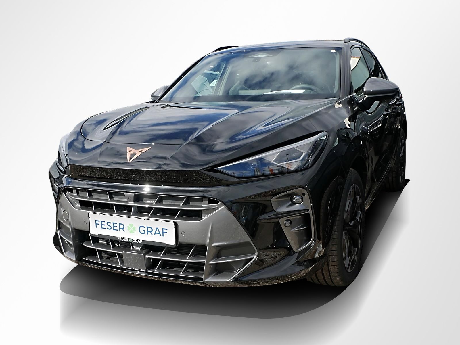 Cupra Terramar - Bild 13