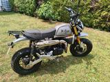 Skyteam X-Bongo 50ccm - SKYTEAM 50