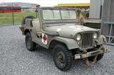 Jeep Willys M38A1, fahrbereit, authentische Optik - Jeep Willys Oldtimer mit Benzin-Antrieb: Geländewagen