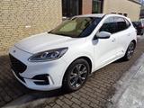 Ford Kuga 2.0 Hybrid ST-Line X *Head-Up* - Ford Kuga Hybrid (Diesel/Elektro)
