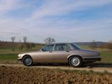 Jaguar XJ V12 S3, 3. Hand, unrestauriert, H-Kennzeichen - Jaguar Gebrauchtwagen von 1985