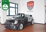 MINI Cooper D Cabrio Aut.+Navi+Leder+Xenon+Garantie - MINI: Braun