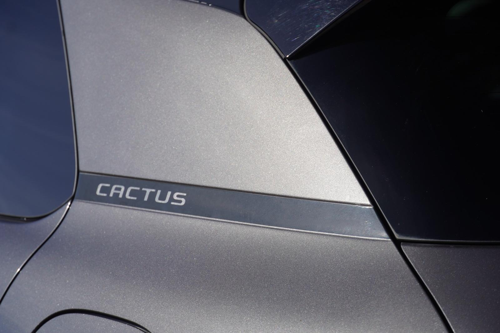 Citroen C4 Cactus 1.2 12V Klimaaut. Sitzheizung Tempomat, миниатюра 19