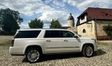 Cadillac Escalade 6.2 V8 Platinum ESV Autom. Platinum - Cadillac Escalade: Esv Platinum