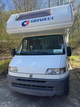 CI International Granduca - Offers