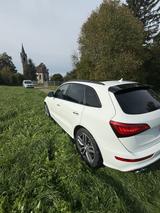 Audi SQ5 3.0 TDI plus quattro/Pano/BO/Rautenstep/AHK - weiße Audi SQ5