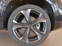 Cupra Ateca - Vorschau Bild 14