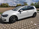 Volkswagen Golf GTE SSD Leder AHK Vollausstattung  - Hybrid (/Elektro) Voll mit Benzin-Antrieb