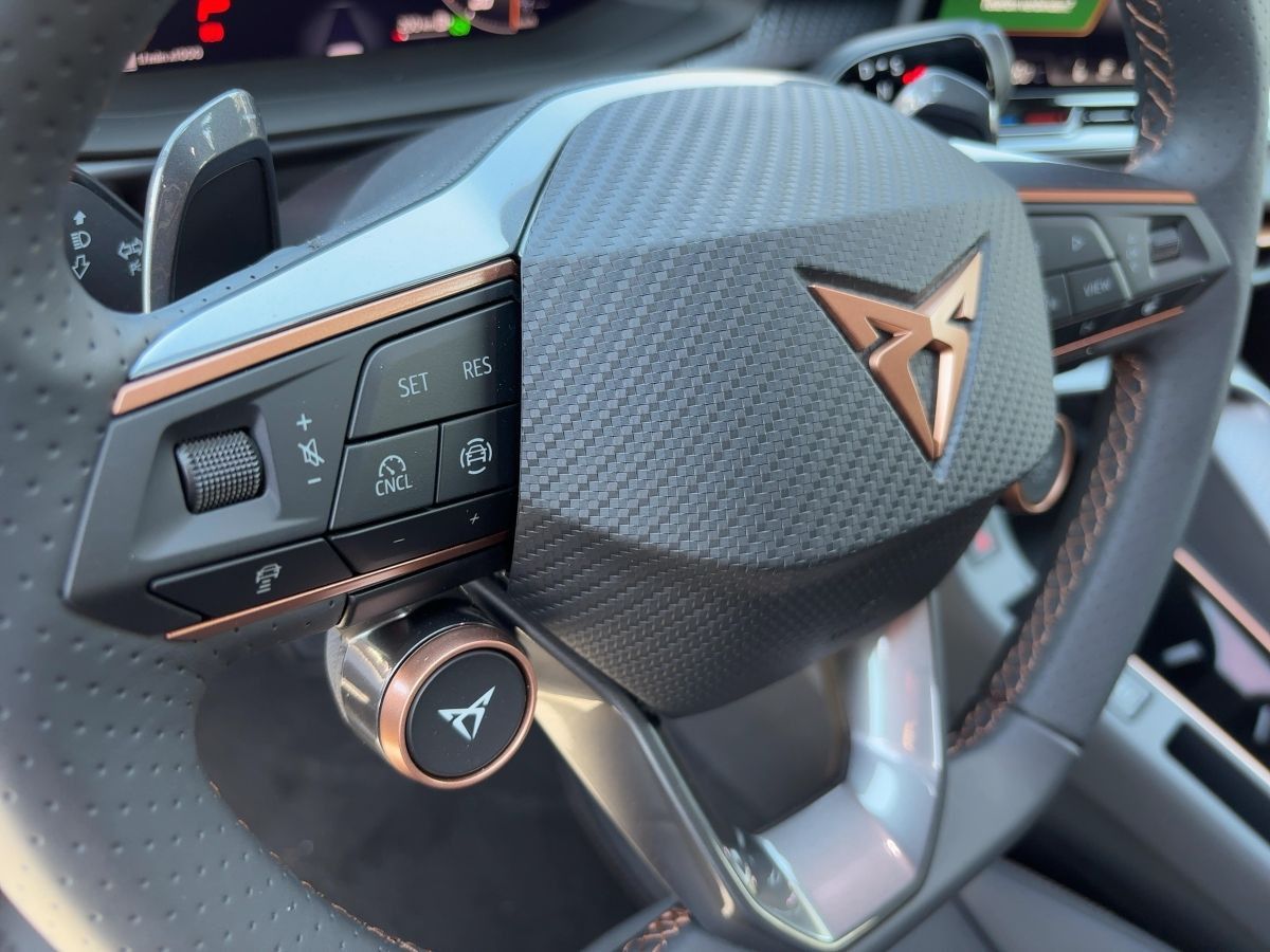 Cupra Terramar - Bild 13