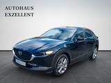 Mazda CX-30 Selection*LED*ALU*SHZ*PDC*KAMERA*NAVI* - Mazda CX-3 mit Benzin-Antrieb: Selection