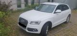 Audi Q5 2.0 TDI 140kW S tronic quattro - - gebrauchte Audi Q5 aus dem Jahr 2016