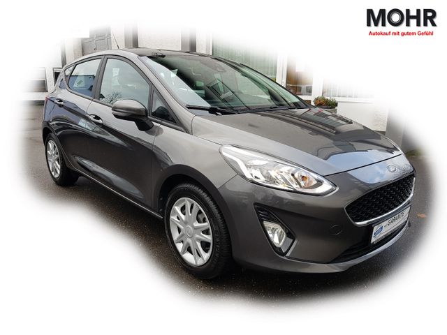 Ford Fiesta Cool&Connect PDC AppLink 5-türig Winterp