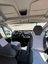 Roller Team Livingstone 5 Sport - Showroom Abverkauf