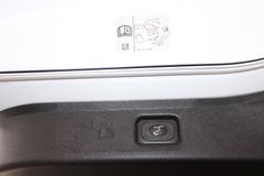 Fahrzeugabbildung Ford S-Max 2,0 EcoBlue ST-Line Automatik LED + PANO
