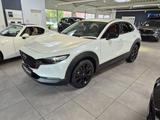 Mazda CX-30 Skyactiv 2.5 l 140 PS AT Nagisa - Mazda CX-30: Nagisa