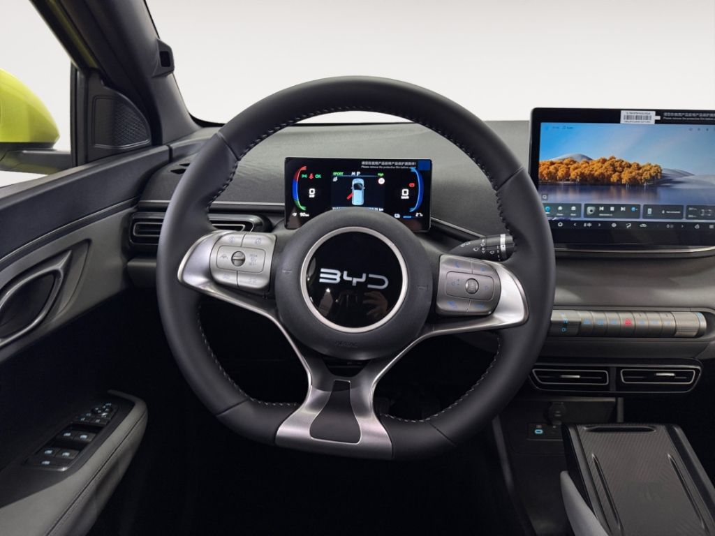 BYD DOLPHIN SURF - Bild 14