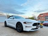 Ford Mustang Performance Cabrio*Kamera*Leder*LED* - Ford Mustang Gebrauchtwagen in Bochum