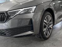 Skoda Octavia - Vorschau Bild 5