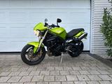 Triumph Street Triple 675 (A2 gedrosselt) - TRIUMPH TR2
