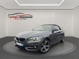 BMW 218d Cabrio Sport Line 1.HAND PDC XEN LED TEMP - BMW Gebrauchtwagen in Regensburg
