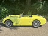 Austin Healey Andere - Austin Healey aus 1959