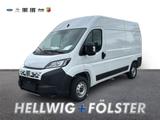 Fiat Ducato L2H2 3.3 + AHK + RFK u. PDC + CarPlay u.  - Fiat Ducato aus 2026