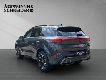 Cupra Terramar - 4