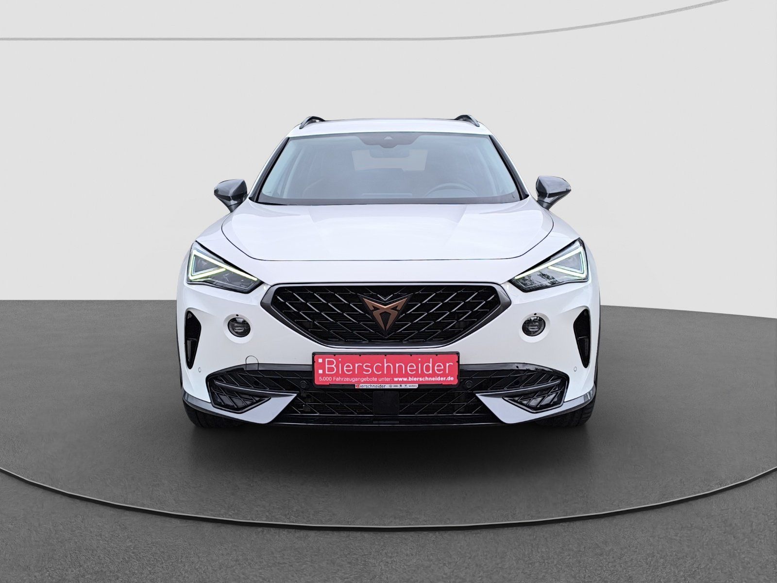 Cupra Formentor 2.0 TSI DSG 4Drive MATRIX ACC PDC FULL imagem 3