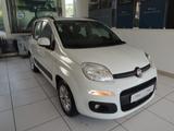 Fiat FIAT Panda 1.3 MJT 95 CV S&S Lounge - Fiat Panda LOUNGE mit Diesel-Antrieb
