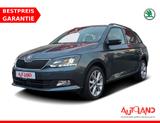 Skoda Fabia Combi 1.0 MPI Clever Tempomat Sitzheizung - Skoda Fabia: Mpi