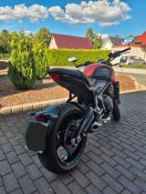 Triumph Trident  - TRIUMPH TRIDENT