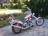 Harley-Davidson Softail - HARLEY-DAVIDSON 1995
