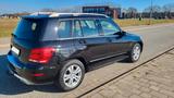 Mercedes-Benz GLK 220 CDI 4MATIC -Topzustand - TÜV neu  - Mercedes-Benz GLK 220: Cdi