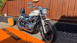 Harley-Davidson XLH 1200 Sportster Custom - HARLEY-DAVIDSON SPORTSTER 1200 XL CUSTOM