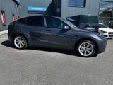 Tesla Model Y Long Range Dual AWD - graue Tesla Model Y
