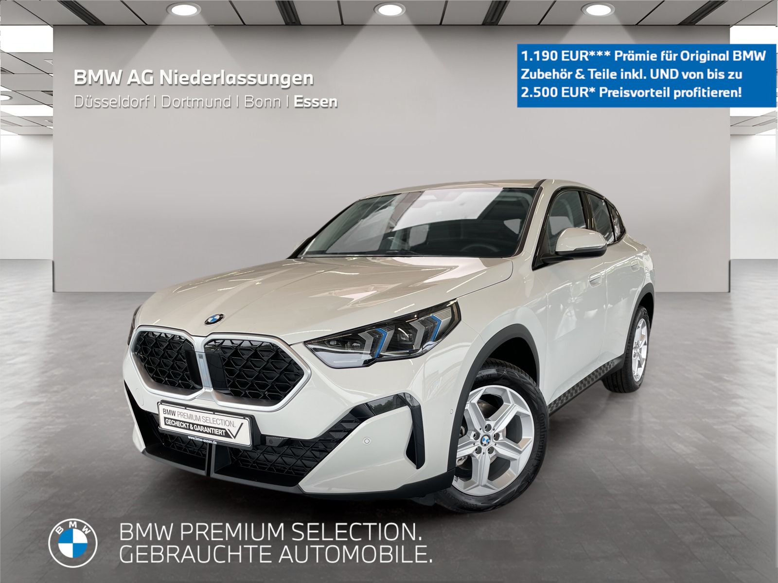 BMW X2 sDrive20d Kamera Driv.Assist LED Sitzheizung