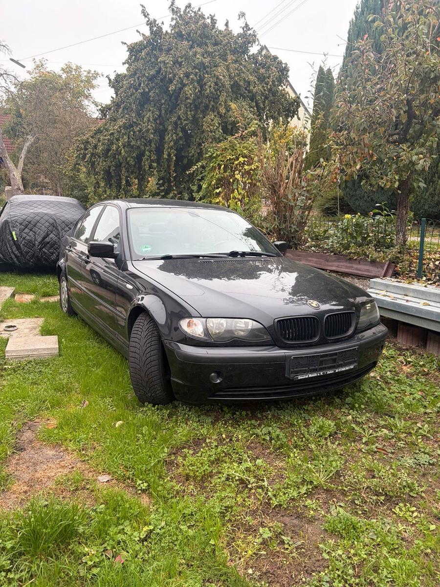 BMW 318