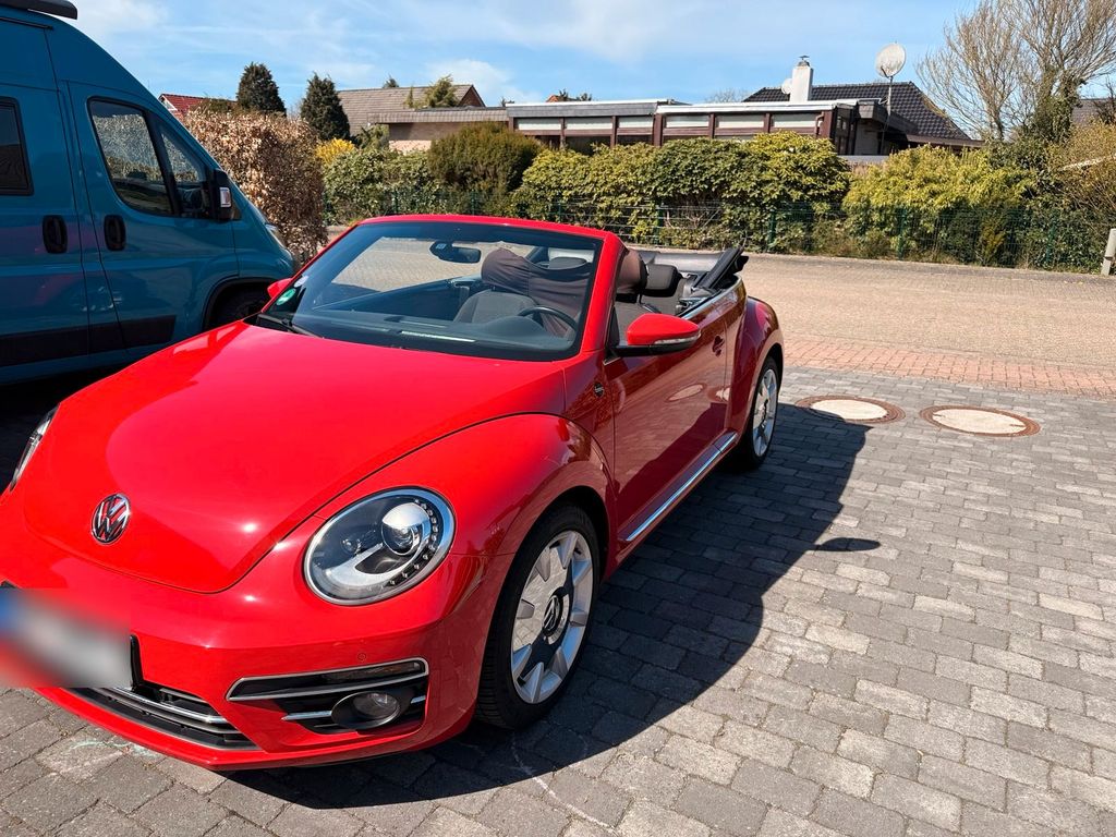 Image of Volkswagen Beetle