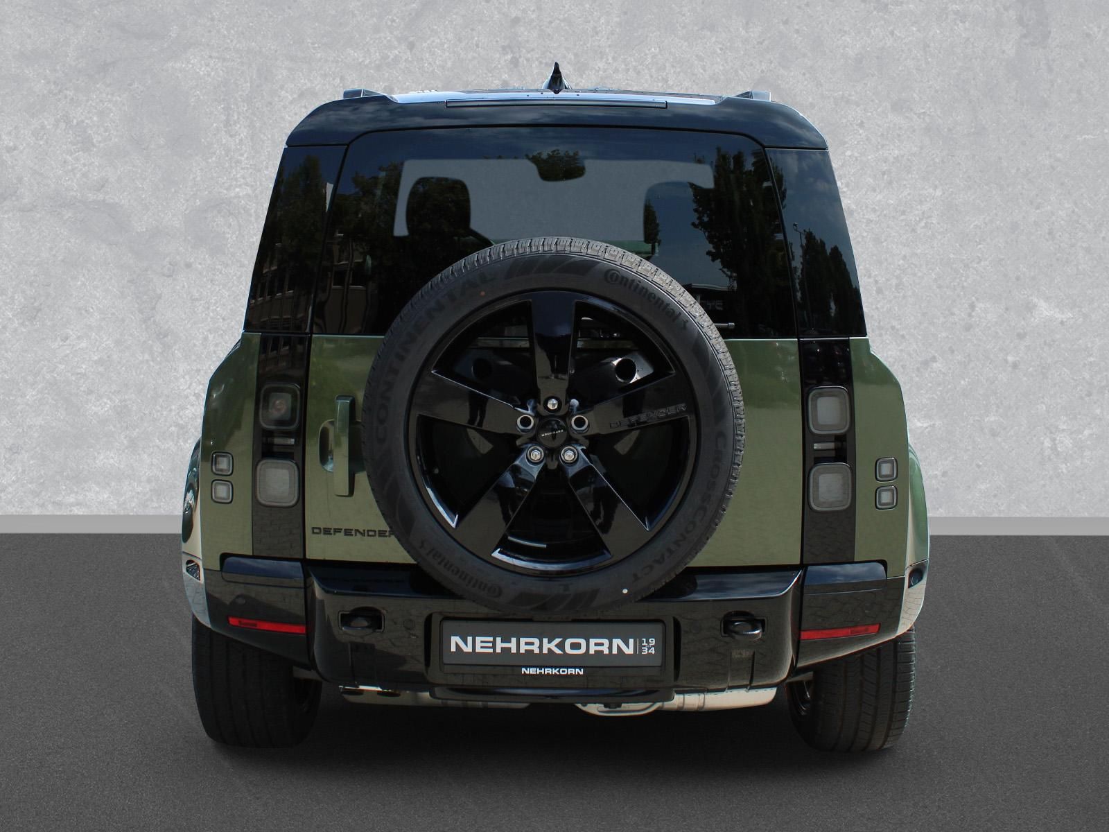 Fahrzeugabbildung Land Rover Land Rover Defender 110 D250 X-Dynamic SE