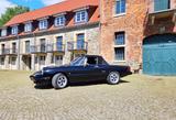 Alfa Romeo Spider - gebrauchte Alfa Romeo Spider aus dem Jahr 1987
