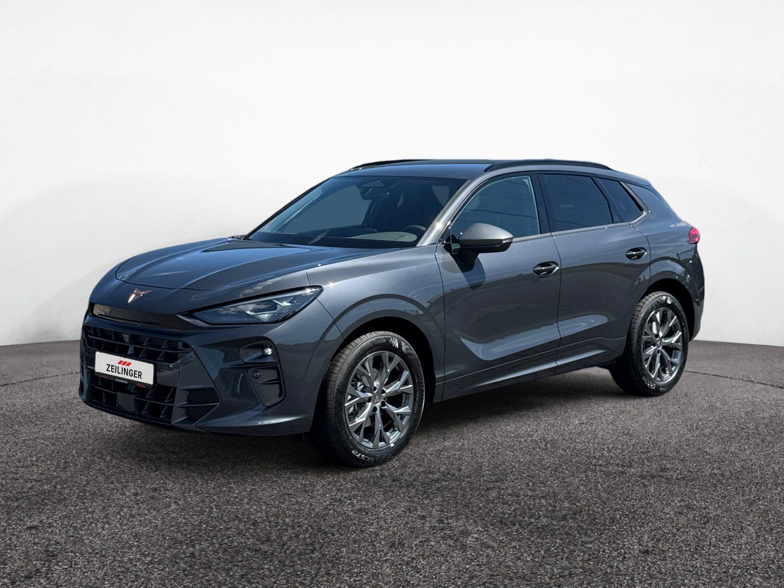 Cupra Terramar - Bild 2