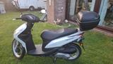 Honda Vision 50 - 45 km/h - inkl. Helm+Koffer - MOFA 45 KM H