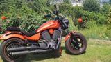 VICTORY Judge Custom - VICTORY CHOPPER