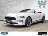 Ford Mustang GT/CS Convertible 5.0 +8Gang-Autom.+LED - gebrauchte Ford Roadster