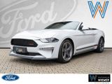 Ford Mustang GT/CS Convertible 5.0 +8Gang-Autom.+LED - Ford Mustang: Cs