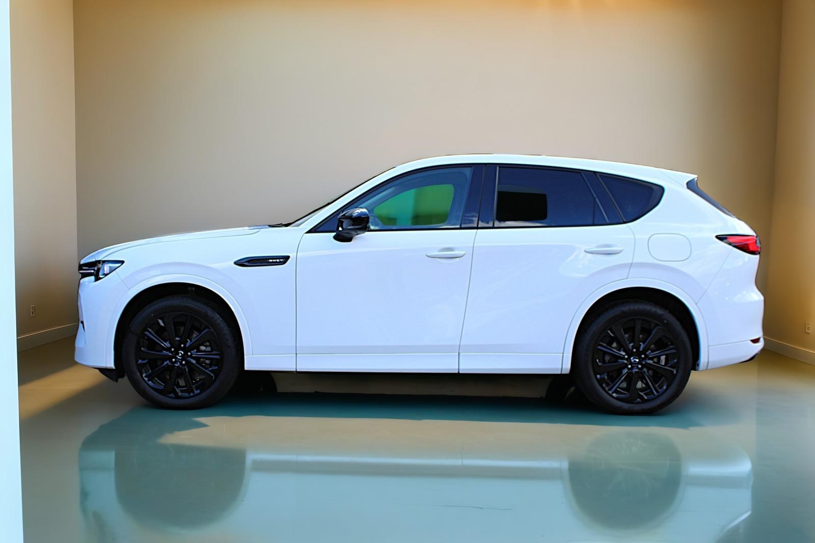 Mazda CX-60 2.5 HOMURA 4x4 Aut. Leder/Navi/360/LED/Acc