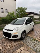 Fiat New Panda 1.2 8V MORE MORE - Fiat New Panda von privat