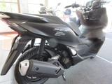 Honda PCX125 Modell ´24 EURO 5 - HONDA ROLLER 125 PCX