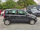 Fiat Panda 1.1 8V Active*ohne TÜV * - Fiat Panda in Kiel