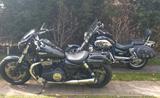 Triumph Thunderbird Storm - TRIUMPH THUNDERBIRD STORM